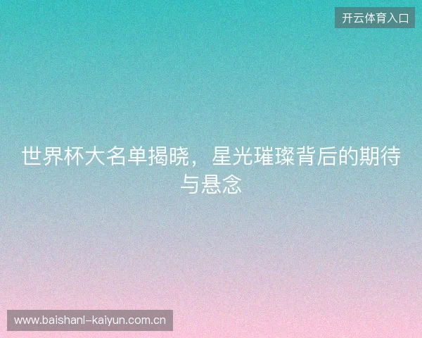 世界杯大名单揭晓，星光璀璨背后的期待与悬念